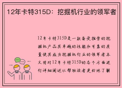 12年卡特315D：挖掘机行业的领军者