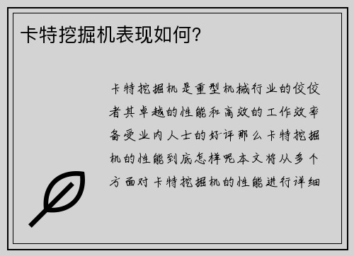 卡特挖掘机表现如何？